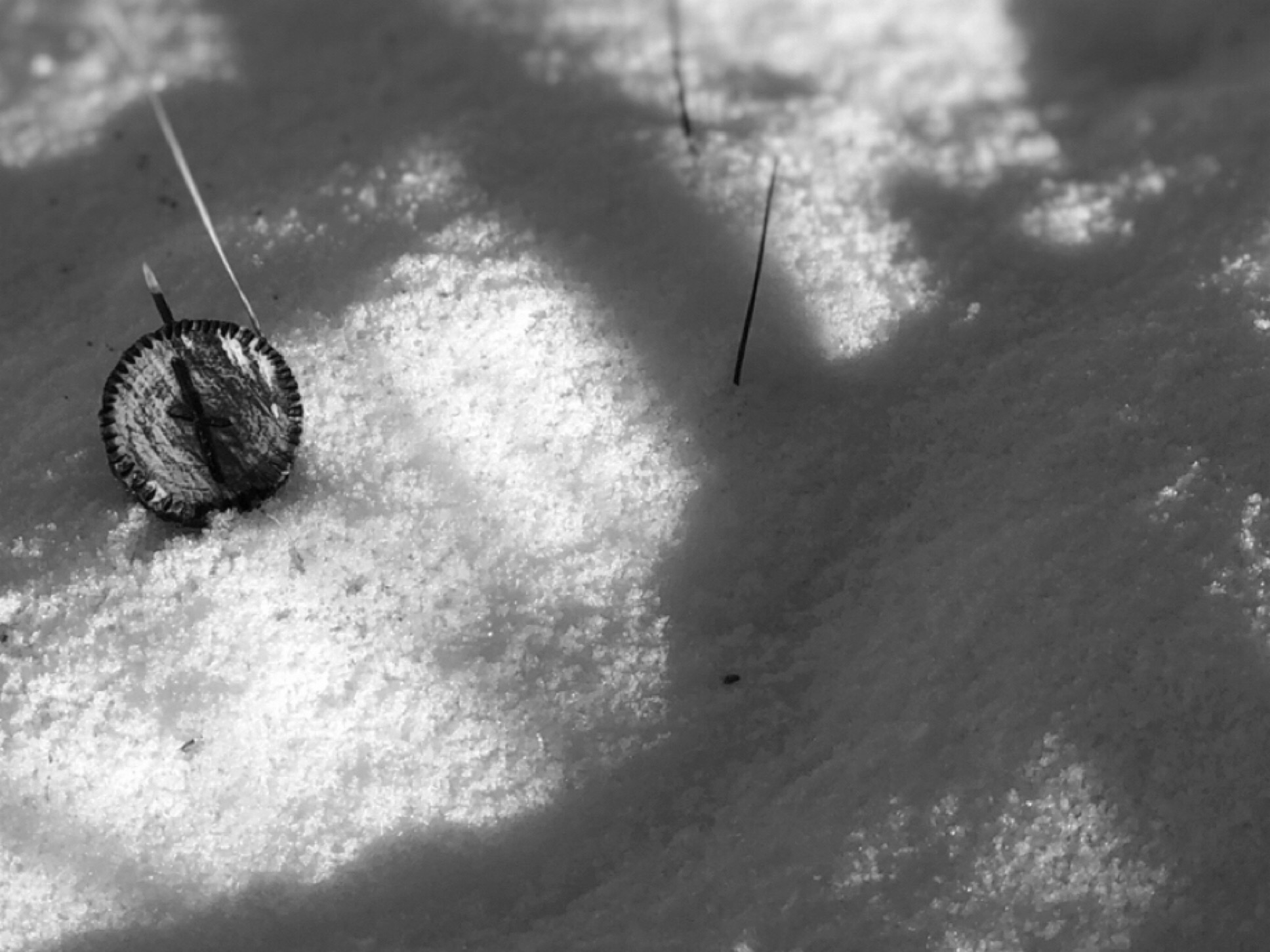 Nauthiz – Rune of Resistance – Sun Archer : The Pursuit of the Ancient ...